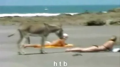 Big tits, دانلودفیلم سینمایی سکسی رایگان آنال